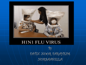 What is 2009 H1N1