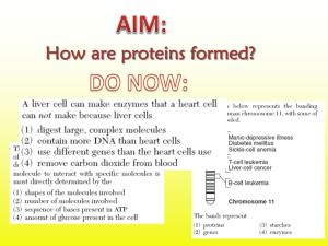 How are proteins formed?