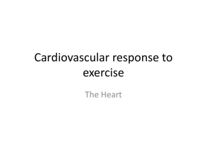 Cardiovascular response to exercise