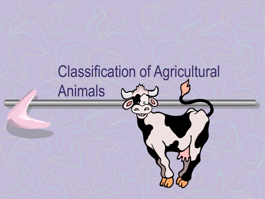 classification-of-agricultural-animals