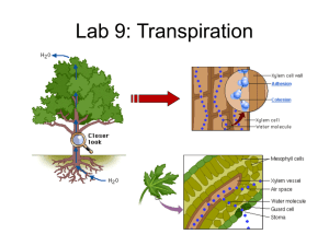 Lab 9: Transpiration