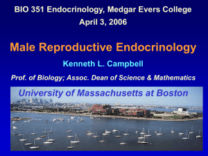 Male Reproductive Endocrinology