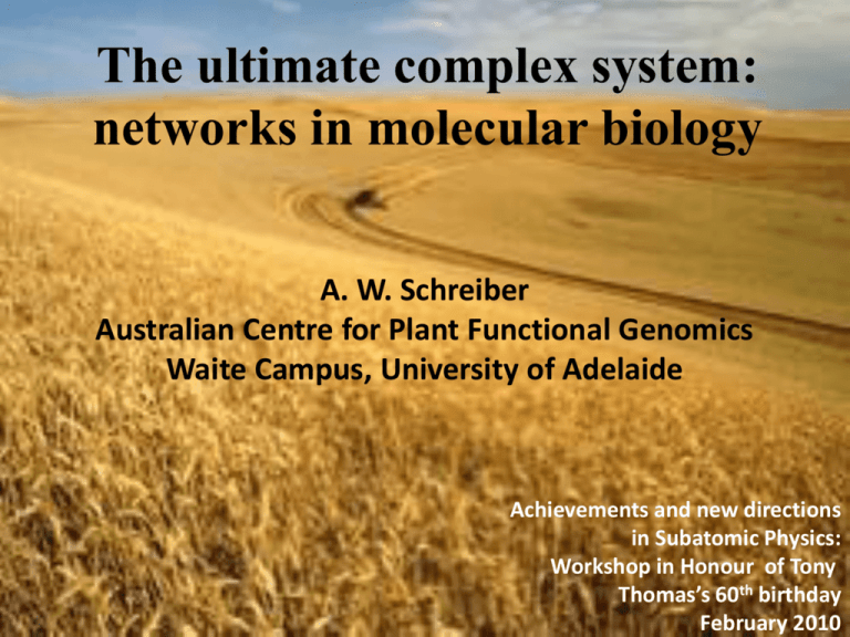 Network And Graph Theory In Biology