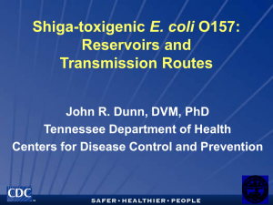 Shiga-toxigenic E. coli O157
