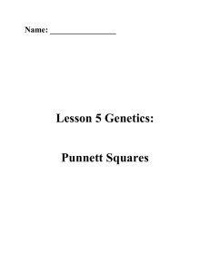 Lesson 5 Genetics: Punnett Squares
