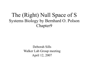 (Right) Null Space of S Systems Biology by Bernhard