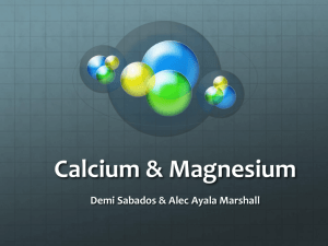 Calcium & Magnesium Cycle