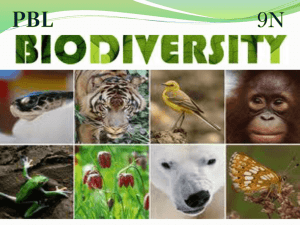 BiodiversityPBLPowerpoint