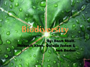 Biodiversity 1