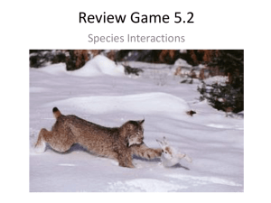 Review Game 5.2