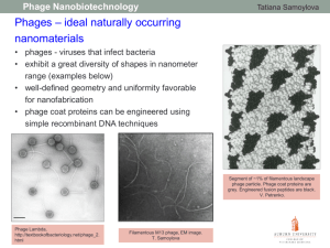 Phage Nanobiotechnology