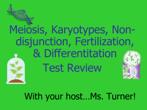 Jeopardy Review for Meiosis etc. Test