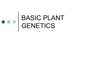 Plant Genetics - Mineral Area College