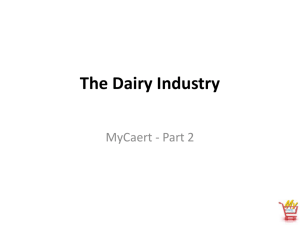 The Dairy Industry - Mid