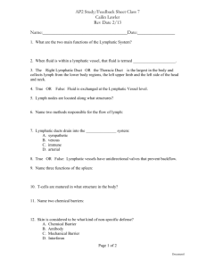 Feedback Sheet Week 7 - Balance Massage Therapy