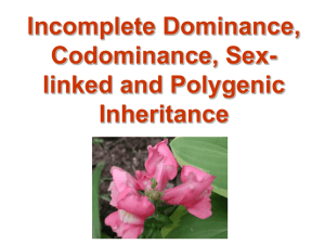 Incomplete Dominance, Codominance, Sex