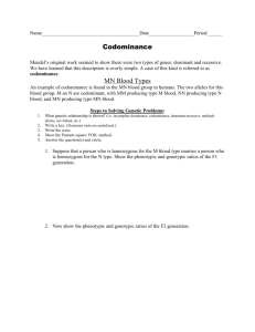WS - Codominance Worksheet