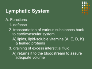 Lymph System