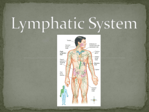 Lymphatic System Power Point