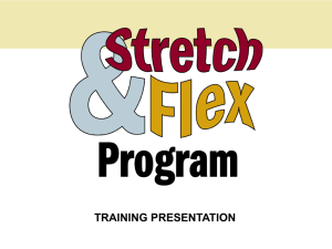 Stretch Flex