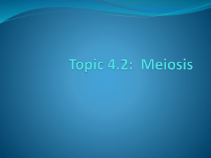 Topic 4.2: Meiosis