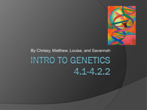 Intro to Genetics 4.1-4.2.2