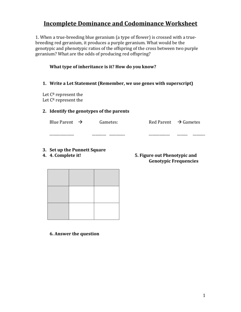 SBI3U 8 Incomplete Dominance Worksheet OISE