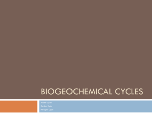 Biogeochemical cycles notes