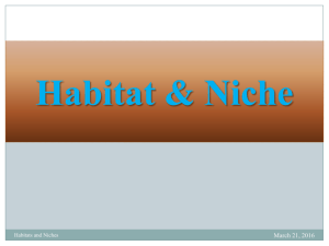 Habitat & Niches