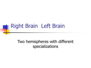 Right and Left Brain