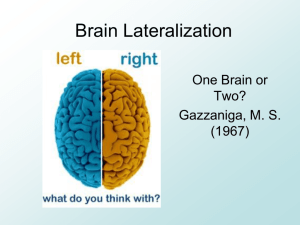 Brain Lateralization