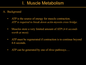 ATP is required to break down actin