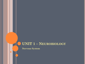 UNIT 1 * Neurobiology - Addiction and the Brain