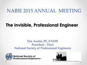 The Invisible Professional Engineer