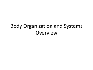 Body Organization and Systems Overview Lecture