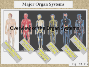 Overview of the Organ Systems