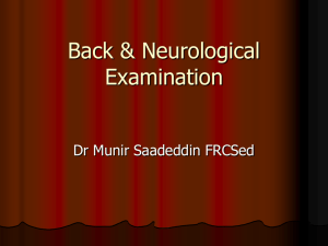 Back & Neurological Examination