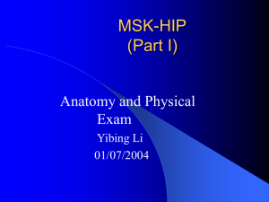 MSK-HIP ( Part I)