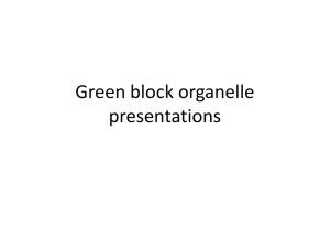Green block organelle presentations