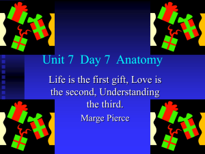 Unit 7 Day 7 Anatomy