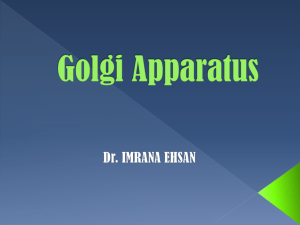 Golgi Apparatus (Dr. Imrana Ihsan)