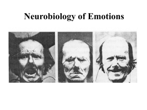 Neurobiology of Emotions