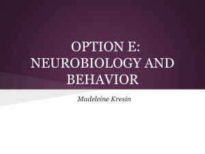 OPTION E: NEUROBIOLOGY AND BEHAVIOR