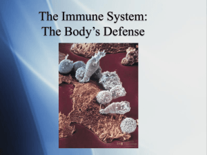 The Immune System: The Body's Defense