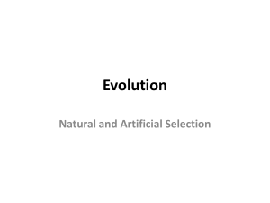 Evolution: Natural and Artificial Selection