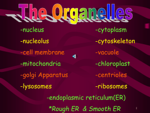 Cell Organelles - Winston Knoll Collegiate