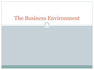 The Business Environment - BUS 203