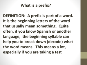 What is a prefix?