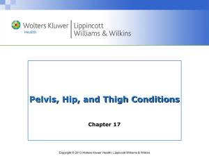 Hip/Thigh/Pelvis Conditions