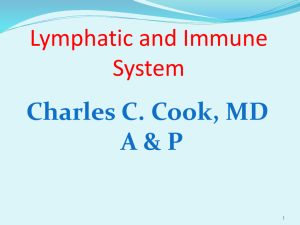 Lymphatic and Immune System